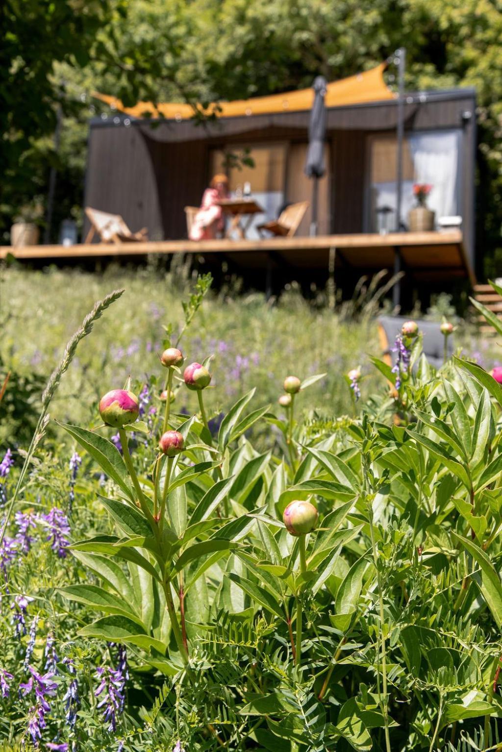 Tiny Heart Holiday home *